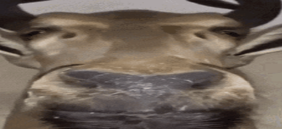 Spaceships Warfare
